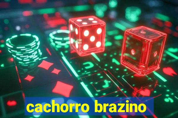 cachorro brazino